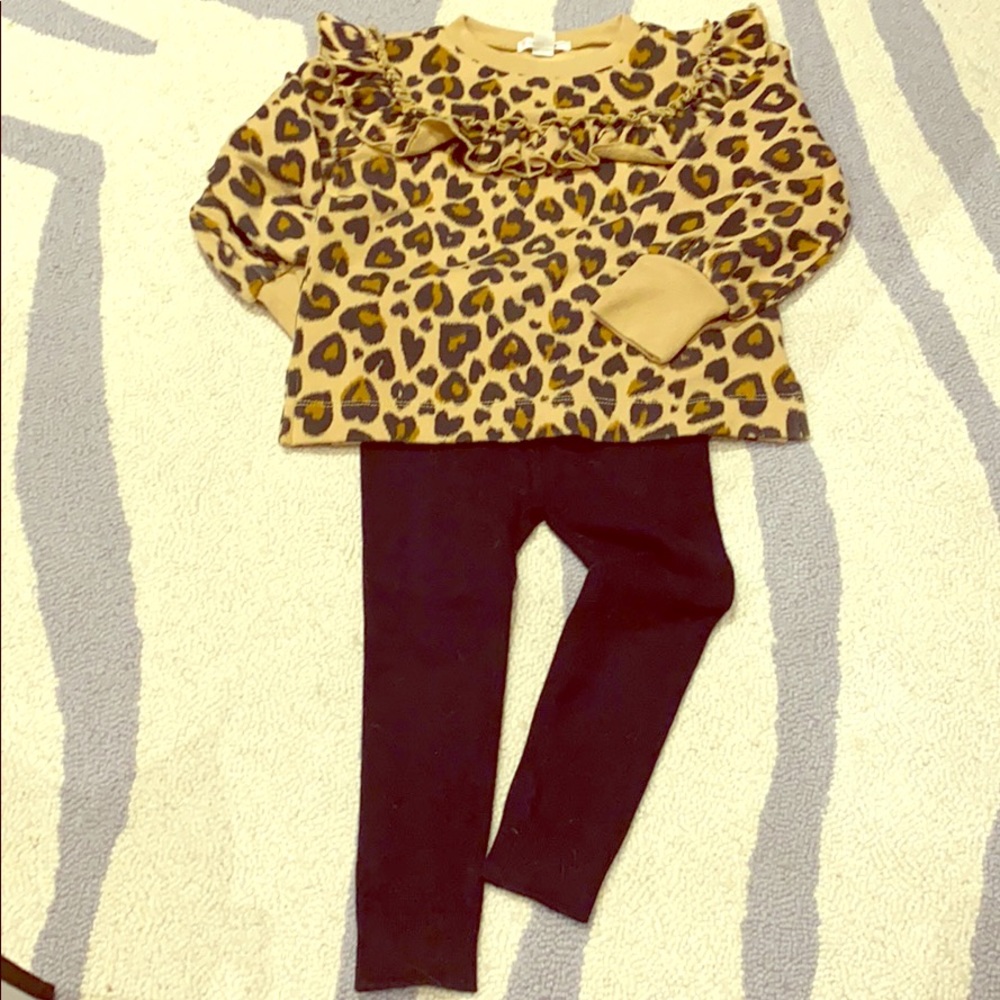 Toddlers Sweatshirt and Leggings Bundle